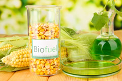 Sector biofuel availability