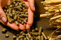 free Sector biomass boiler quotes